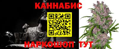 кокс Кандалакша
