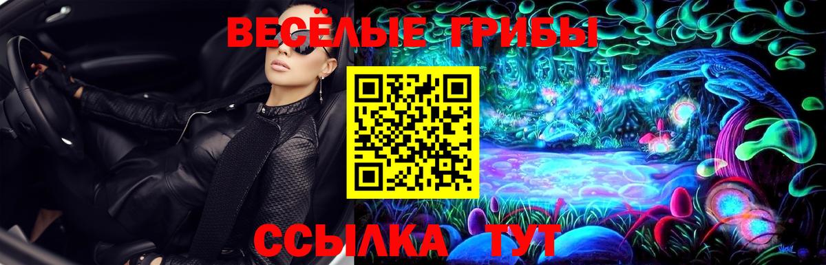 Псилоцибиновые грибы Psilocybe Коркино